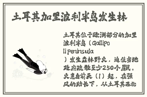 花海视频